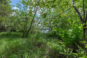 Hwy 45, , Three Lakes,  WI 54562 United States