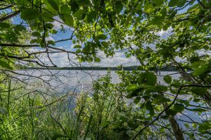 Hwy 45, , Three Lakes,  WI 54562 United States