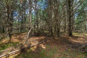 Lot off Hwy 45, , Three Lakes,  WI 54562 United States