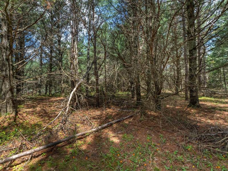 Lot off Hwy 45, , Three Lakes,  WI 54562 United States