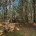 Lot off Hwy 45, , Three Lakes,  WI 54562 United States
