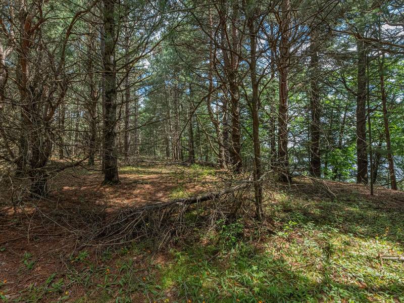 Lot off Hwy 45, , Three Lakes,  WI 54562 United States