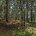 Lot off Hwy 45, , Three Lakes,  WI 54562 United States