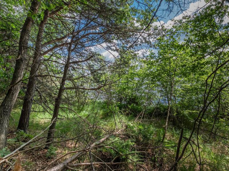 Lot off Hwy 45, , Three Lakes,  WI 54562 United States
