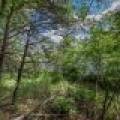Lot off Hwy 45, , Three Lakes,  WI 54562 United States