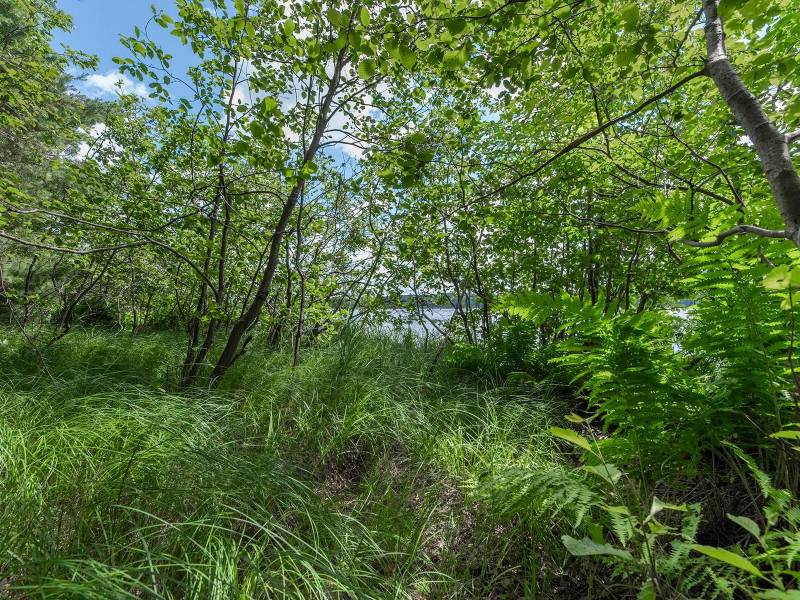 Lot off Hwy 45, , Three Lakes,  WI 54562 United States