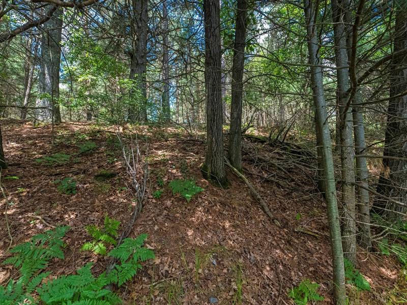 Lot off Hwy 45, , Three Lakes,  WI 54562 United States