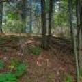 Lot off Hwy 45, , Three Lakes,  WI 54562 United States