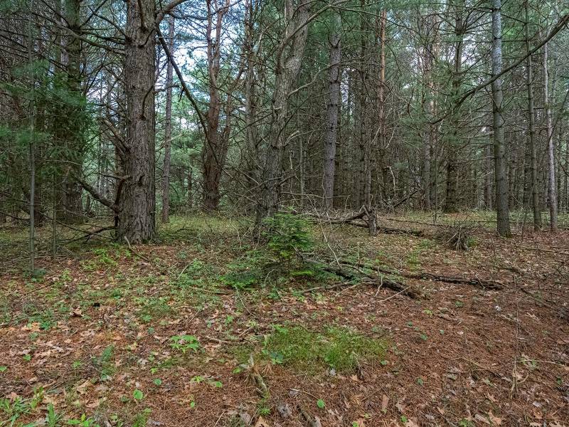 Lot off Hwy 45, , Three Lakes,  WI 54562 United States