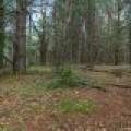 Lot off Hwy 45, , Three Lakes,  WI 54562 United States