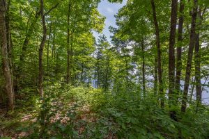 5046 Moraine Lake Rd, , Bessemer,  MI 49947 United States