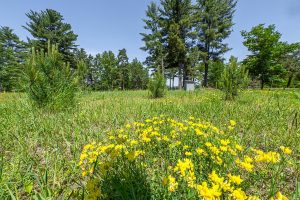5328 Hwy 70, , Eagle River,  WI 54521 United States