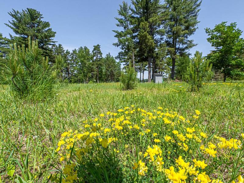 5328 Hwy 70, , Eagle River,  WI 54521 United States