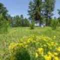 5328 Hwy 70, , Eagle River,  WI 54521 United States