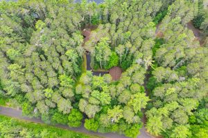 5407 Bluebird Point Rd, , Manitowish Waters,  WI 54545 United States