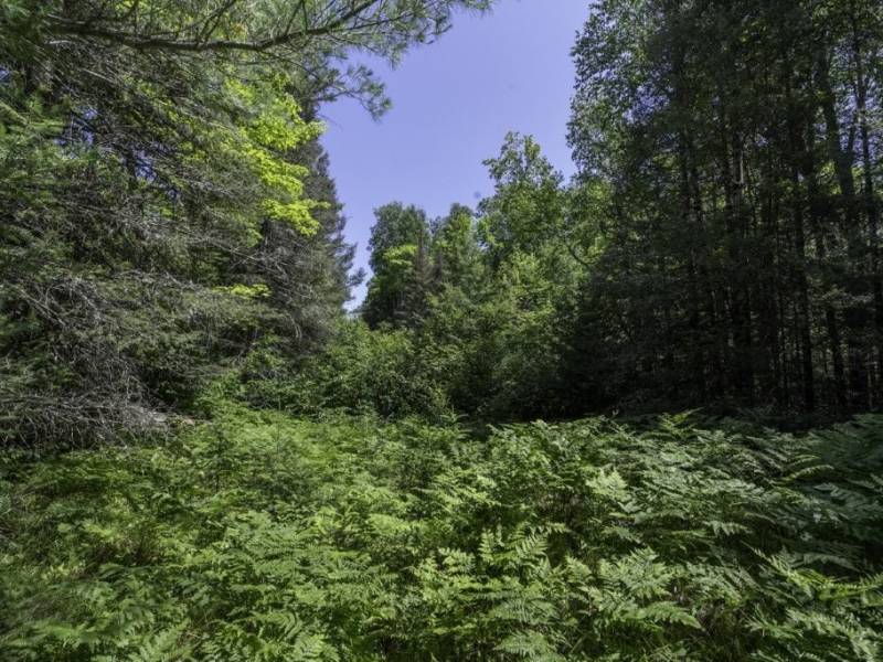 Off CTH B, , Presque Isle,  WI 54521 United States