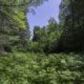 Off CTH B, , Presque Isle,  WI 54521 United States