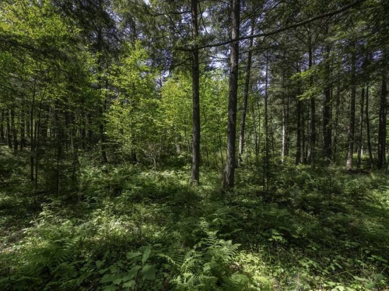 Off CTH B, , Presque Isle,  WI 54521 United States