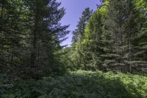 Off CTH B, , Presque Isle,  WI 54521 United States