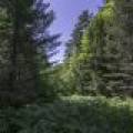 Off CTH B, , Presque Isle,  WI 54521 United States