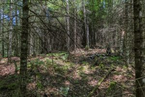 Off CTH B, , Presque Isle,  WI 54521 United States