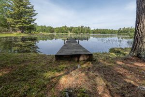 6029 E Shore Dr, , Newbold,  WI 54501 United States