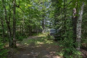 6029 E Shore Dr, , Newbold,  WI 54501 United States