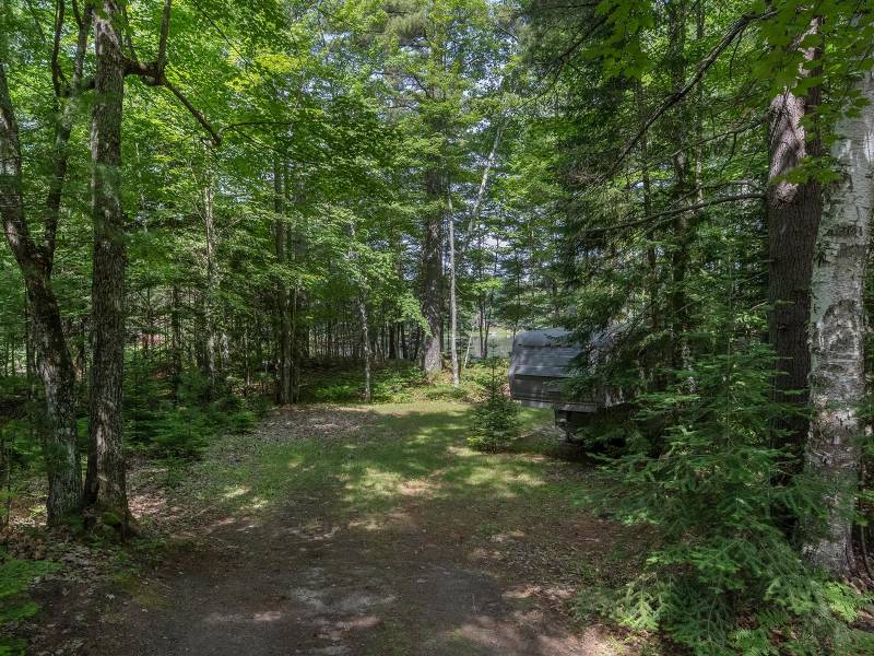 6029 E Shore Dr, , Newbold,  WI 54501 United States