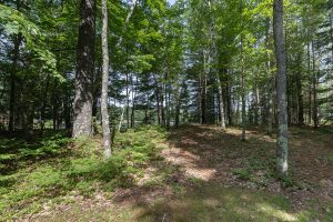 6029 E Shore Dr, , Newbold,  WI 54501 United States