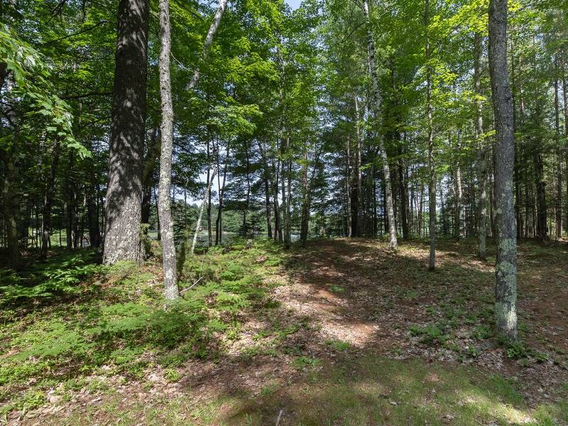6029 E Shore Dr, , Newbold,  WI 54501 United States