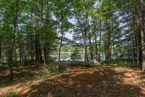 6029 E Shore Dr, , Newbold,  WI 54501 United States
