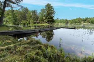 6029 E Shore Dr, , Newbold,  WI 54501 United States