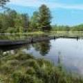 6029 E Shore Dr, , Newbold,  WI 54501 United States