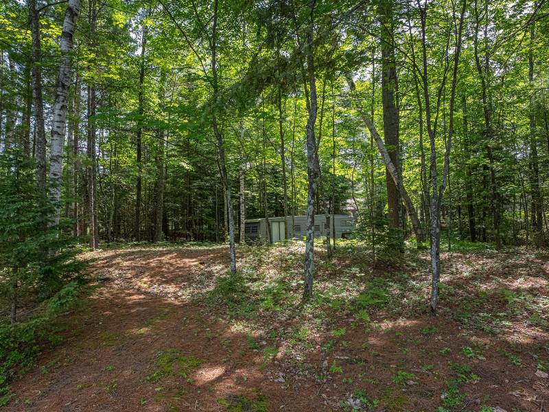 6029 E Shore Dr, , Newbold,  WI 54501 United States