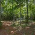 6029 E Shore Dr, , Newbold,  WI 54501 United States