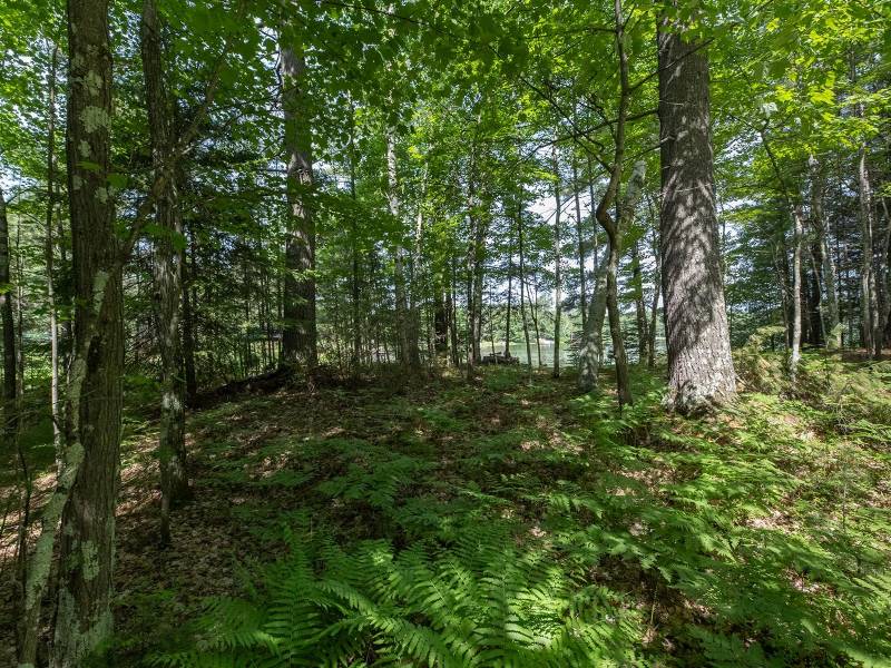 6029 E Shore Dr, , Newbold,  WI 54501 United States
