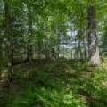 6029 E Shore Dr, , Newbold,  WI 54501 United States