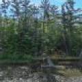 6029 E Shore Dr, , Newbold,  WI 54501 United States