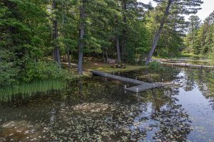 6029 E Shore Dr, , Newbold,  WI 54501 United States