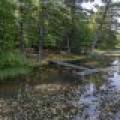 6029 E Shore Dr, , Newbold,  WI 54501 United States