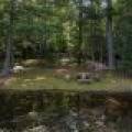 6029 E Shore Dr, , Newbold,  WI 54501 United States