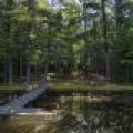 6029 E Shore Dr, , Newbold,  WI 54501 United States