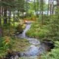 7138 Papoose Lane, , Manitowish Waters,  WI 54545 United States