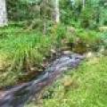 7138 Papoose Lane, , Manitowish Waters,  WI 54545 United States