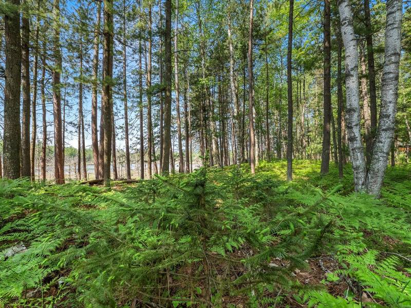 5865 Brook Trl, , Eagle River,  WI 54521 United States