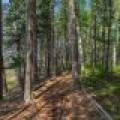5865 Brook Trl, , Eagle River,  WI 54521 United States