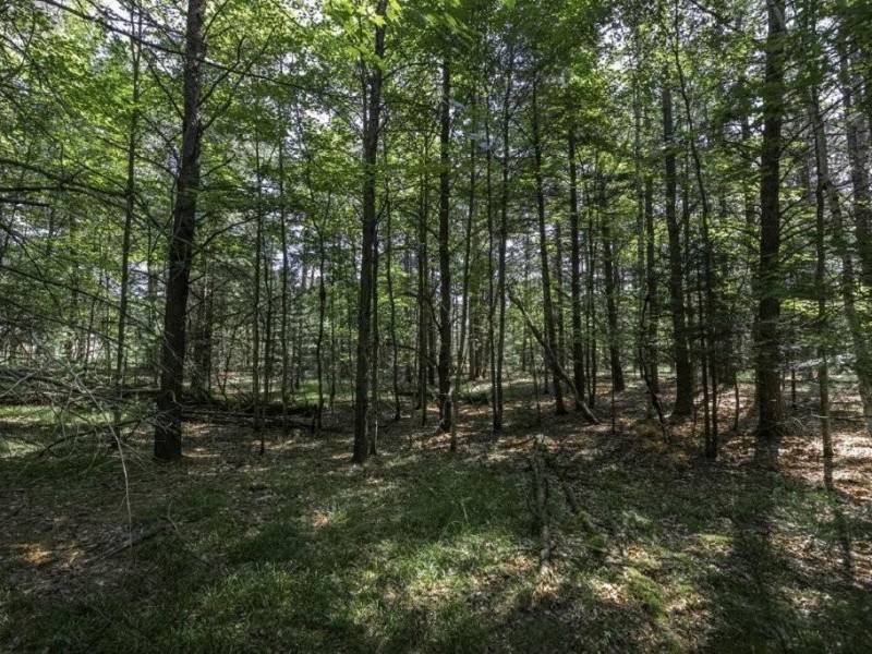 Lots 1-8 Pine Cone Lane, , Woodruff,  WI 54568 United States