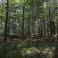 Lots 1-8 Pine Cone Lane, , Woodruff,  WI 54568 United States