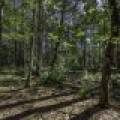 Lots 1-8 Pine Cone Lane, , Woodruff,  WI 54568 United States