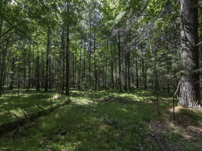 Lots 1-8 Pine Cone Lane, , Woodruff,  WI 54568 United States